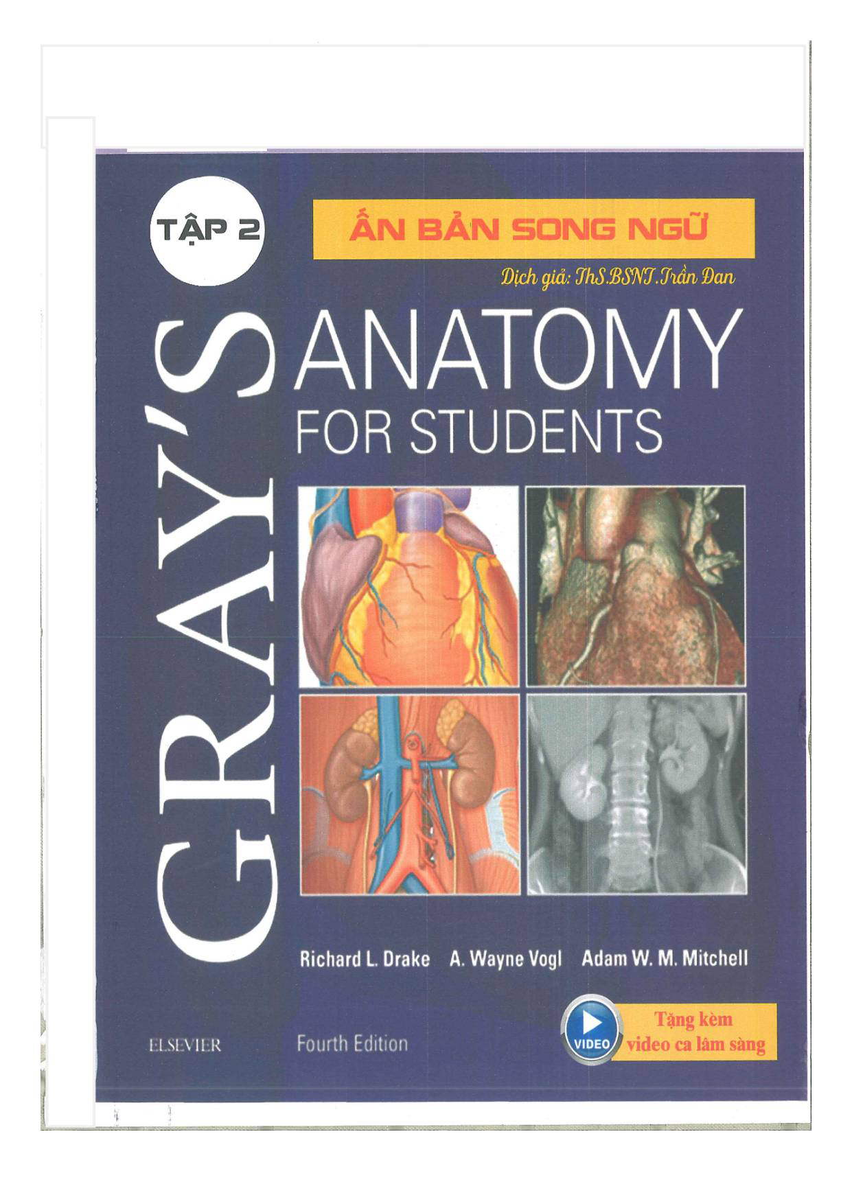 Gray's Anatomy for students - ấn bản song ngữ tập 2